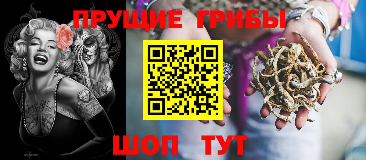 Галлюциногенные грибы прущие грибы Гай