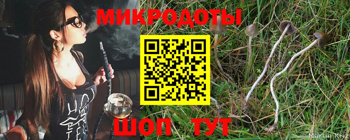 Гай  магазин    Вход с VPN  Галлюциногенные грибы прущие грибы 